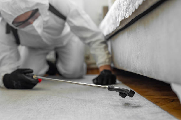 Professional Termite Control technician working in Maineville, OH