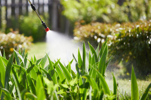 24/7 Emergency Termite Control experts in Maineville, OH