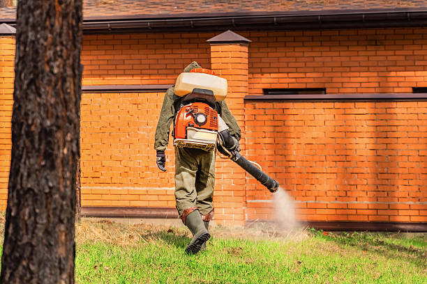 Top rated local Termite Control specialists in Maineville, OH